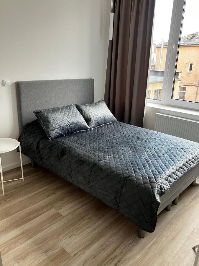 Ingos Laisves Al. Apartamentai คอนัส ภายนอก รูปภาพ